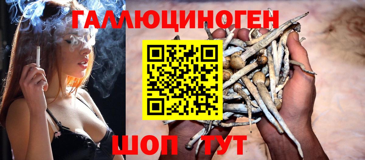Галлюциногенные грибы Magic Shrooms Приморско-Ахтарск