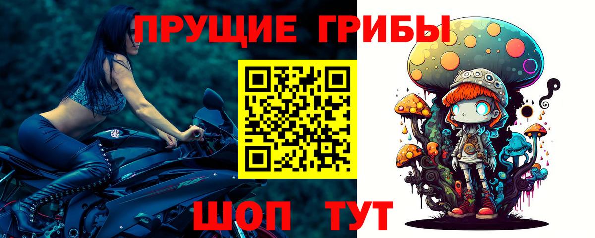 Псилоцибиновые грибы ЛСД  Галлюциногенные грибы Cubensis  Приморско-Ахтарск  Вход с VPN 